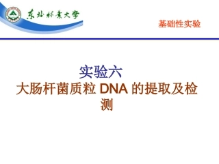 实验六、大肠杆菌质粒DNA的提取与电泳检测