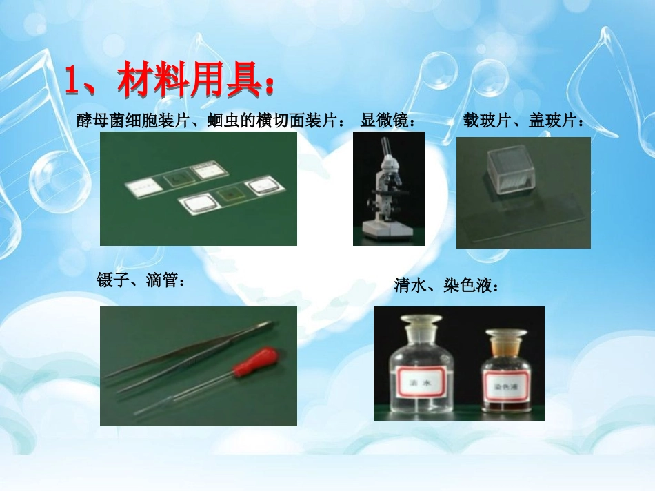 实验一(必修一第7页)：使用高倍显微镜观察几种细胞_第2页