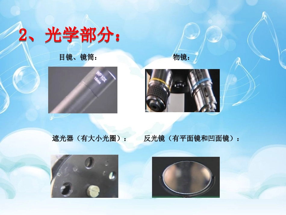 实验一(必修一第7页)：使用高倍显微镜观察几种细胞_第3页