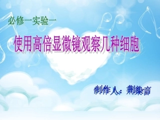实验一(必修一第7页)：使用高倍显微镜观察几种细胞