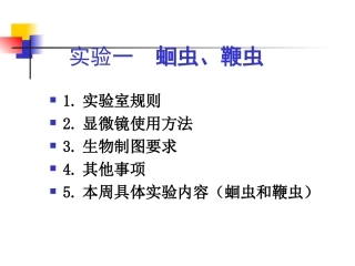 实验1：蛔虫和鞭虫