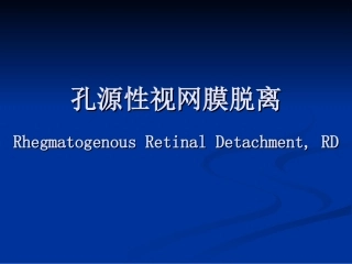 孔源性视网膜脱离终稿