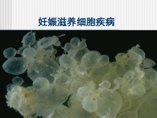 妊娠滋养细胞疾病
