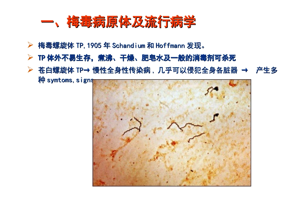 妊娠合并梅毒(钟艺)_第3页