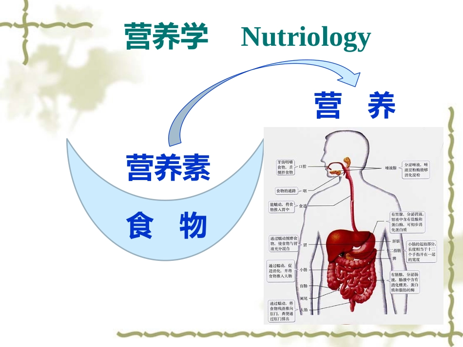 妇幼营养学朱文丽1营养学基础_第1页