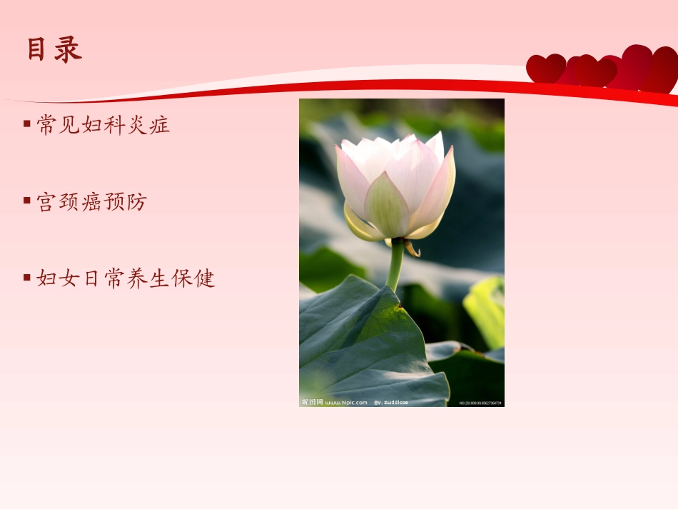妇女健康知识_第2页