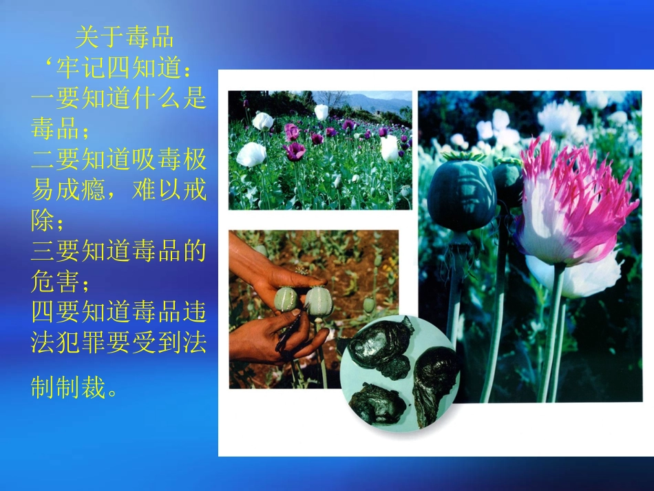 如何防止吸毒_第2页