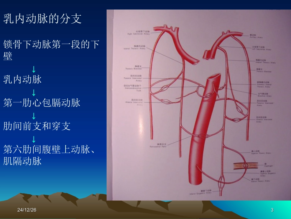 如何获取乳内动脉_第3页