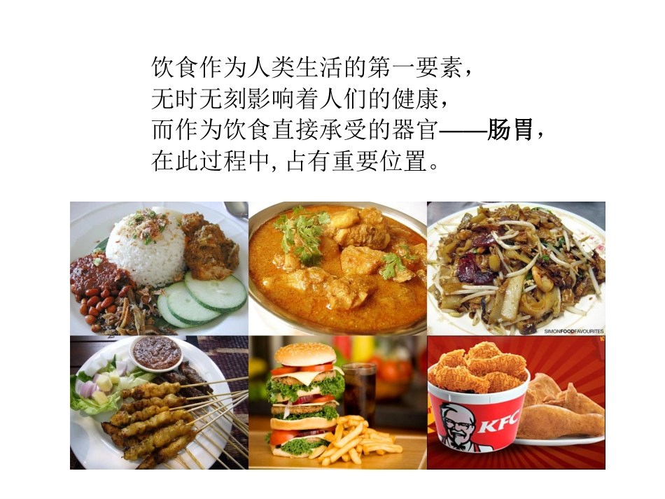 好肠胃,修正版_第2页