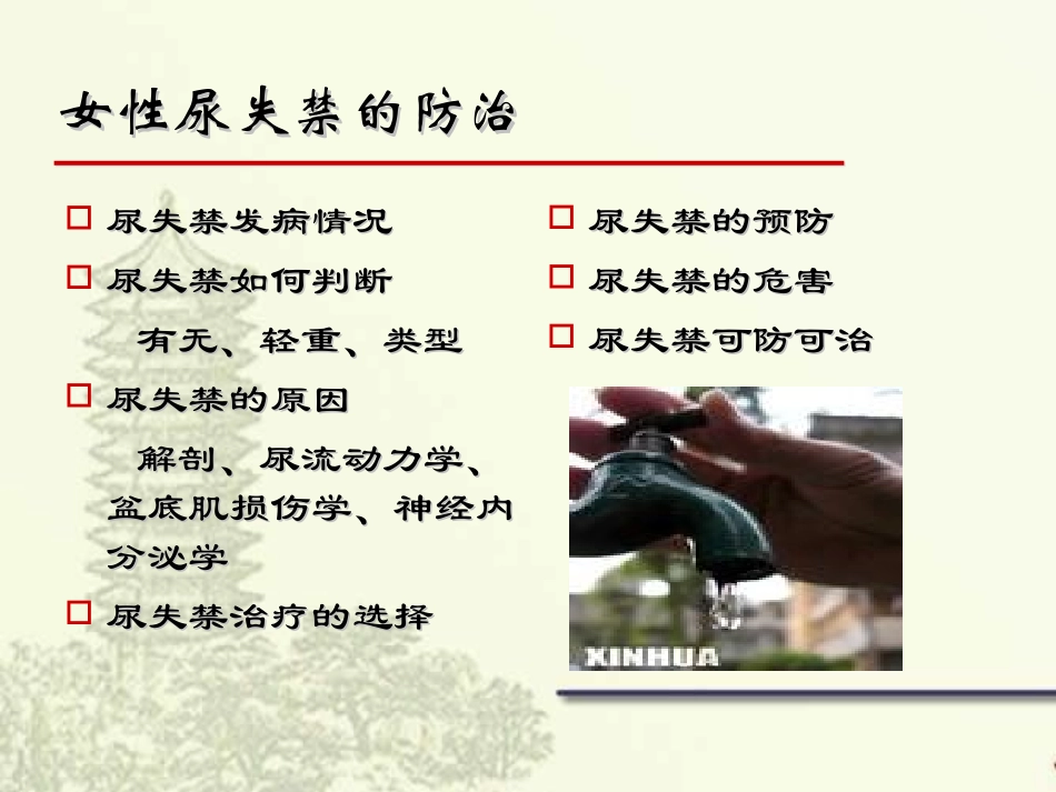 女性尿失禁讲座_第2页