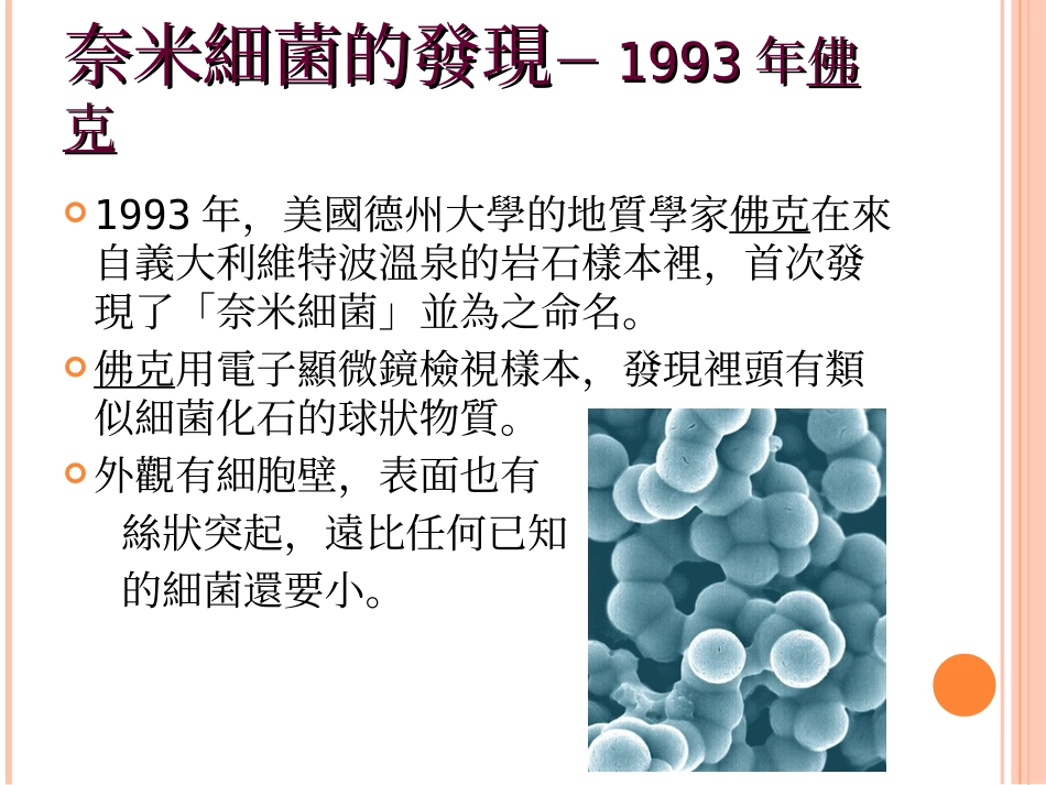 奈米细菌的真面目_第2页