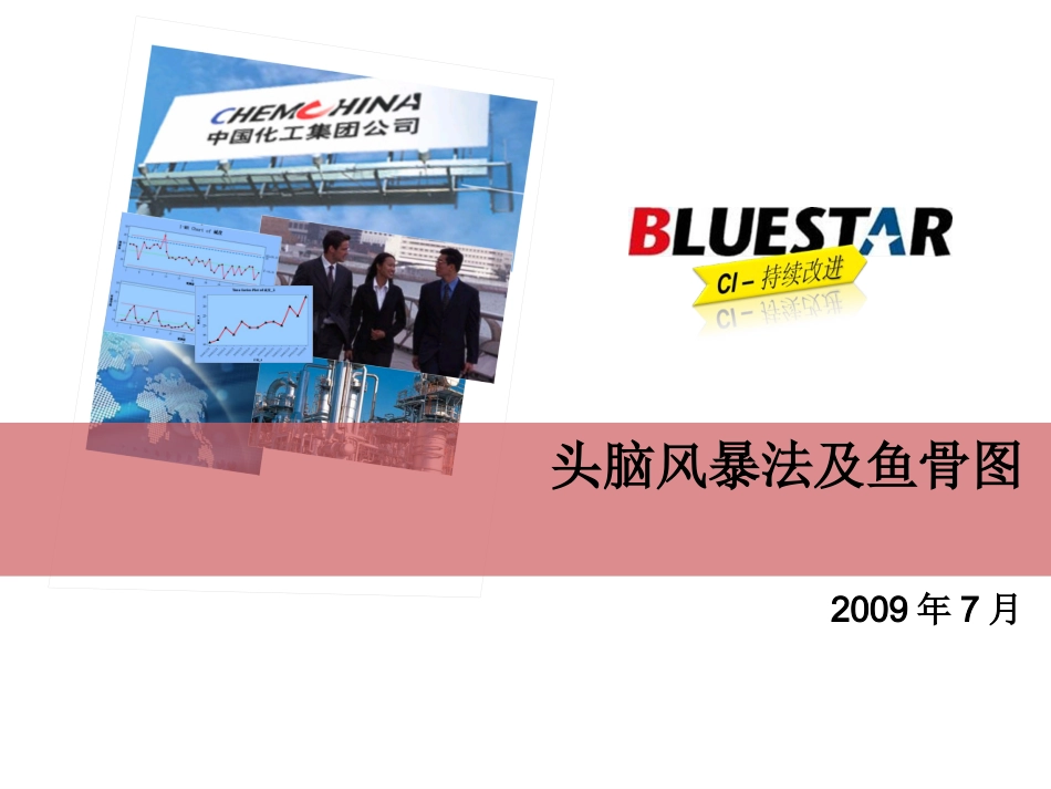 头脑风暴法及鱼骨图_第1页