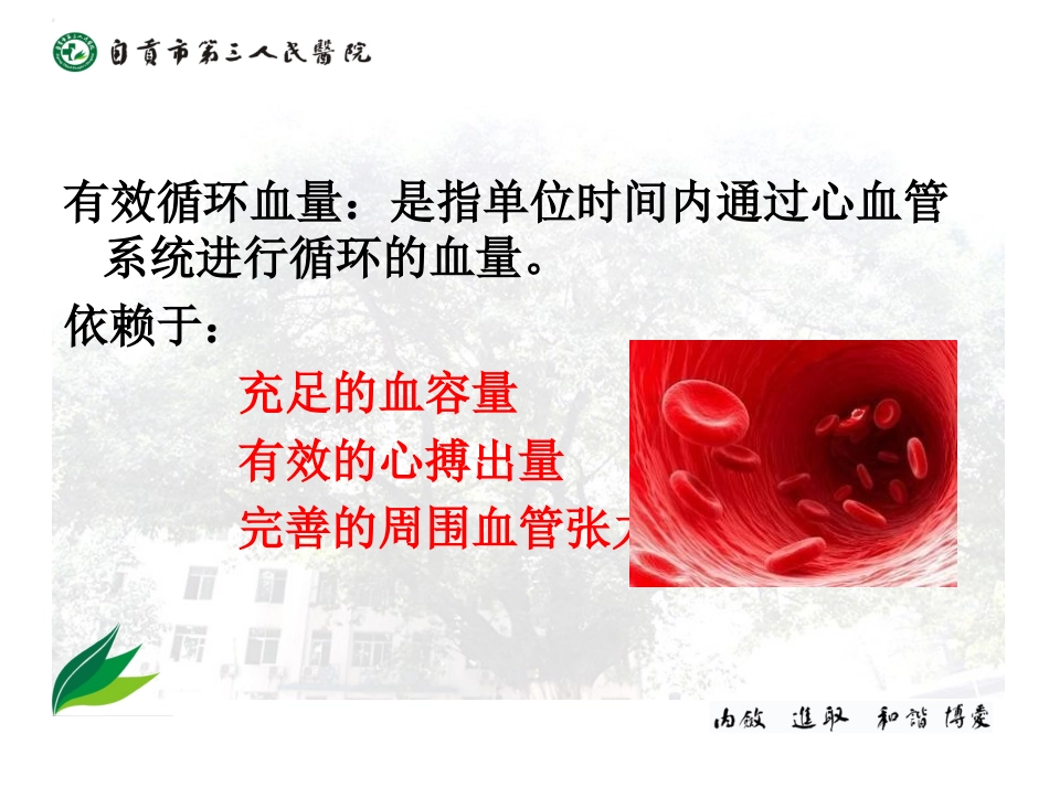 失血性休克的处理流程_第1页