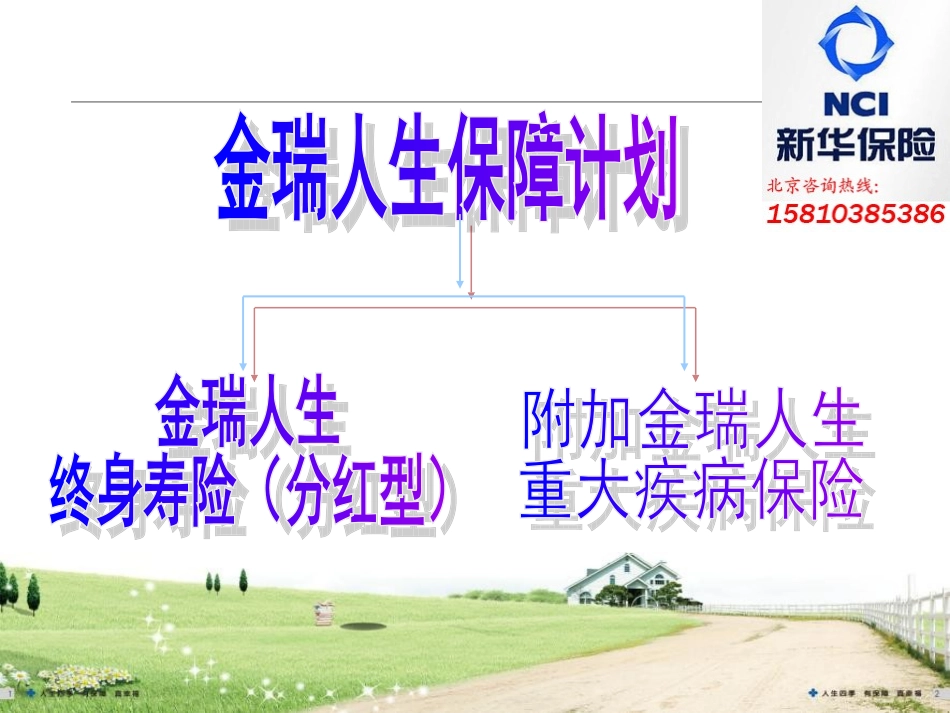 太平洋保险金瑞人生终身寿险_第2页