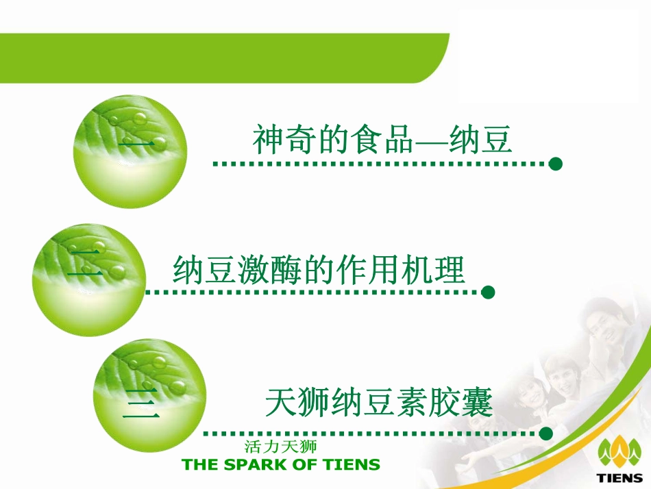 天狮纳豆素胶囊_第3页