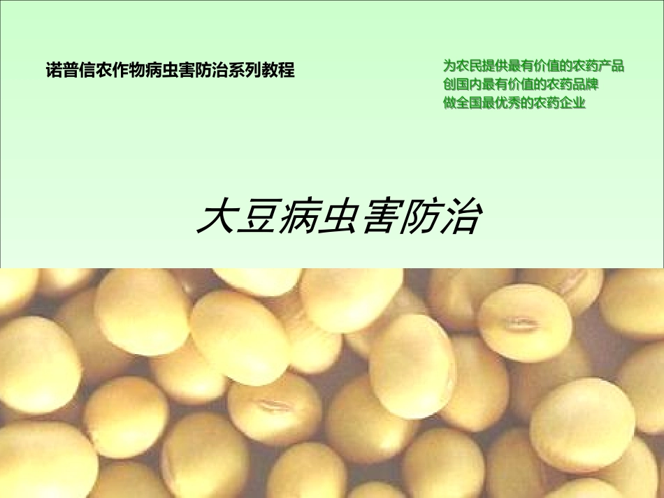 大豆病虫害防治ZS模板_第1页
