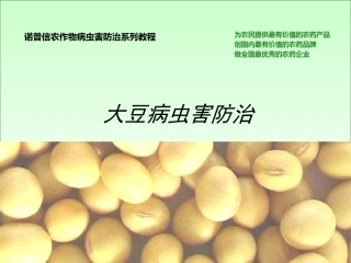 大豆病虫害防治ZS模板