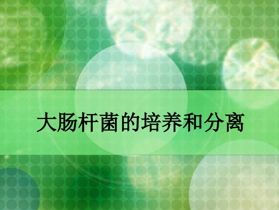 大肠杆菌的培养和分离_第1页