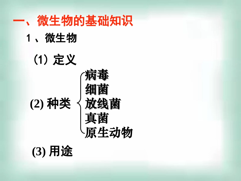 大肠杆菌的培养和分离_第2页