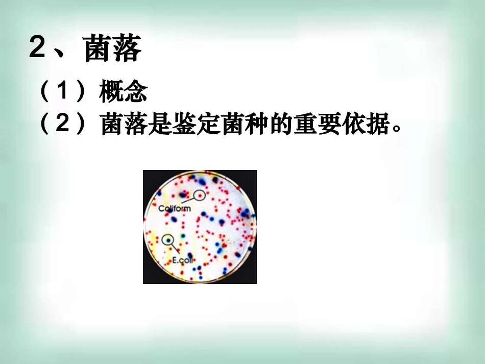 大肠杆菌的培养和分离_第3页