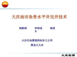 大庆油田鱼骨井水平井完井技术资料
