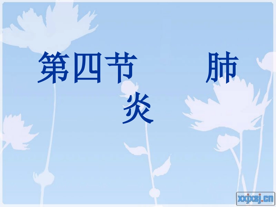 大叶性肺炎终稿_第2页