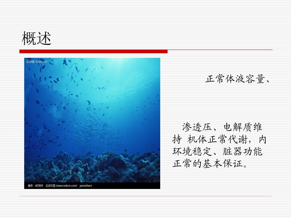 外科病人的体液及酸碱平衡_第3页