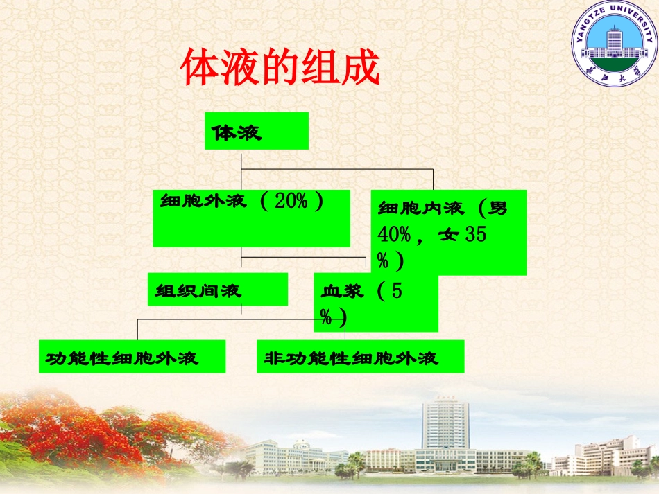 外科病人的体液失调2学时_第3页