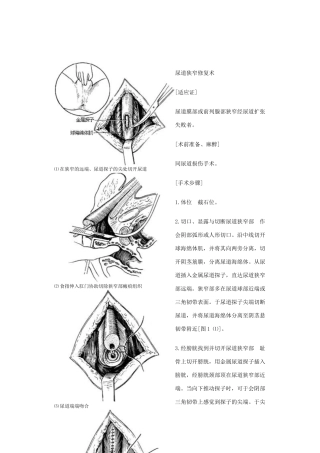 外科小手术辑总