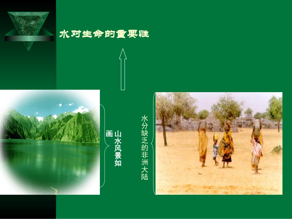 外界溶液浓度﹤细胞液浓度_第2页