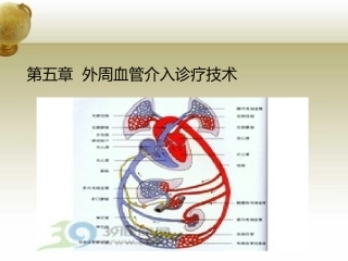 外周血管系统-(2)
