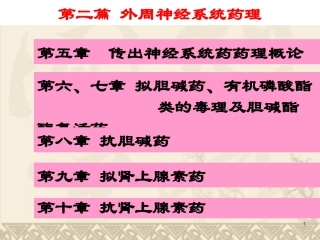 外周传出神经系统药