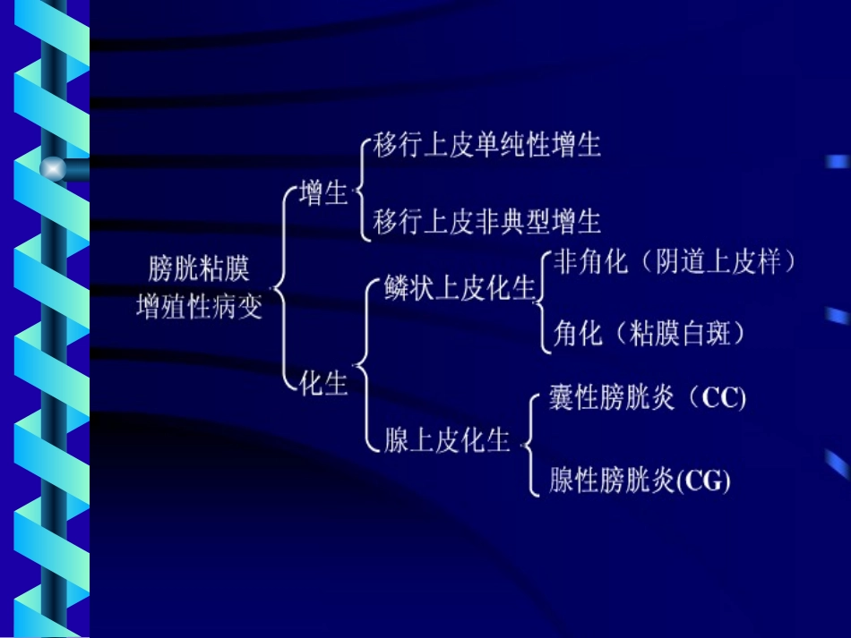增殖性膀胱炎诊治_第2页