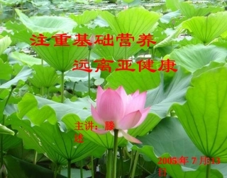 基础营养与亚健康