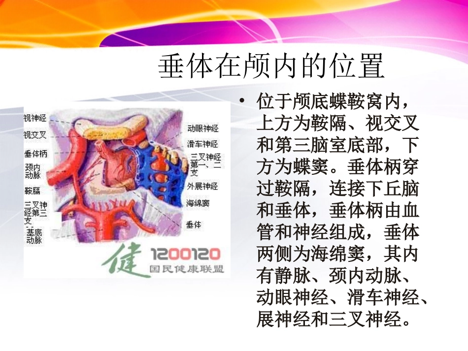 垂体瘤ppt1_第2页