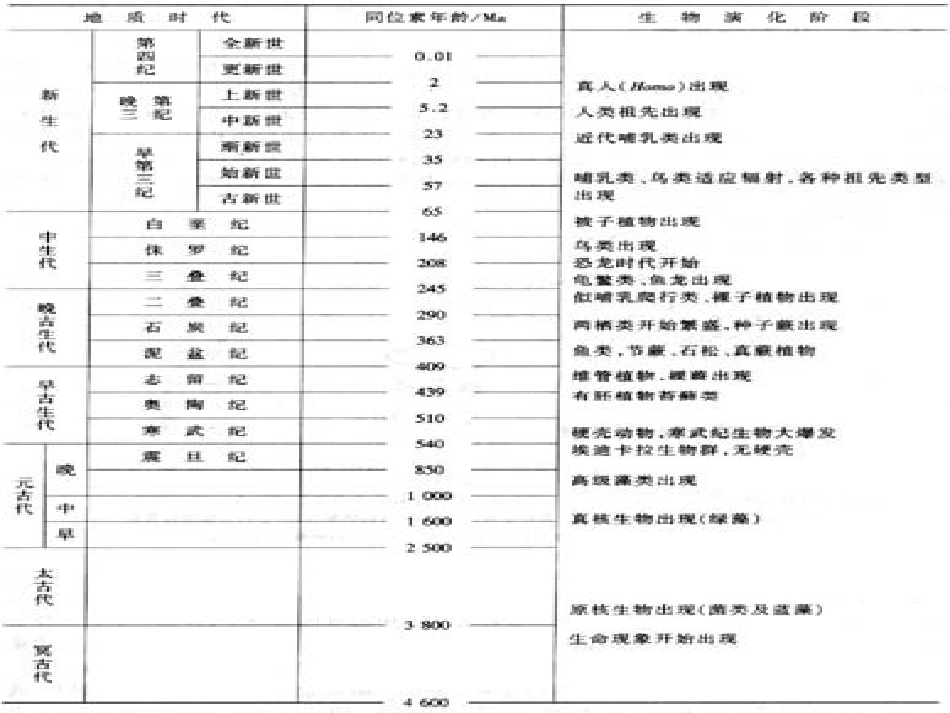 地球的生命史_第3页