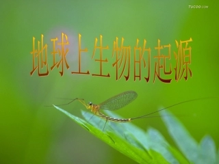 地球上生命的起源