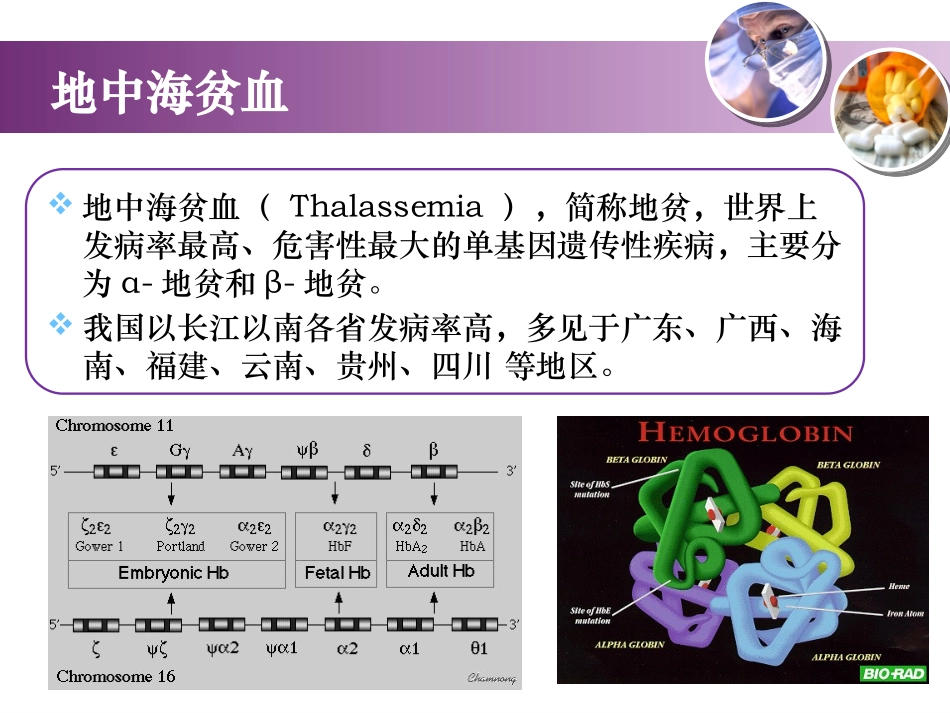 地中海贫血及新生儿筛查检测项目介绍_第3页