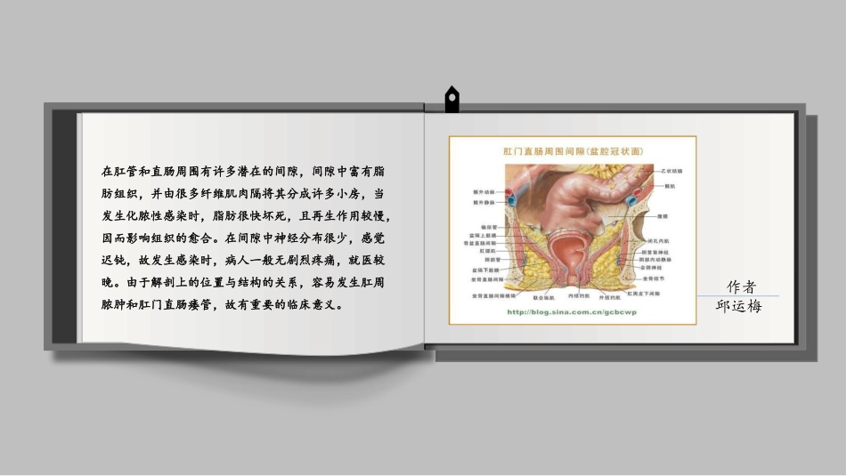 在肛管和直肠周围有许多潜在的间隙_第2页