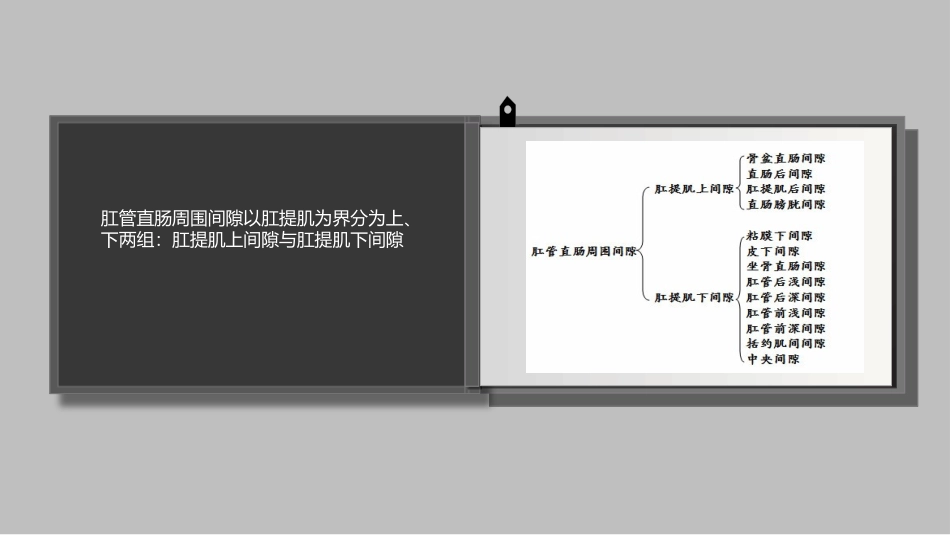 在肛管和直肠周围有许多潜在的间隙_第3页