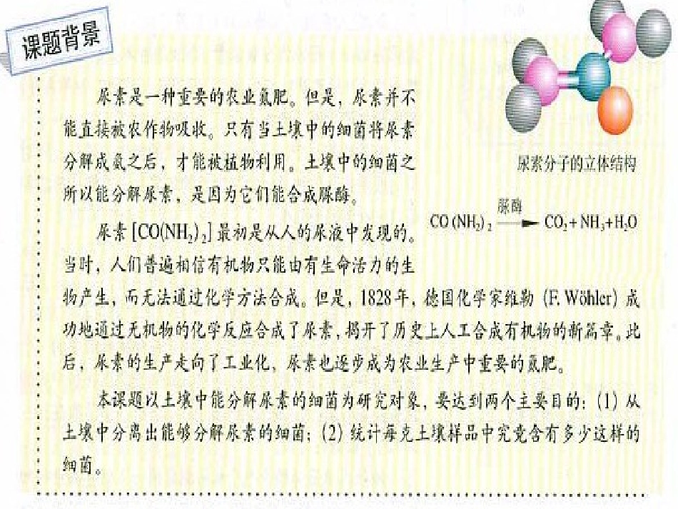 土壤中分解尿素尿素的细菌的分离与计数_第2页