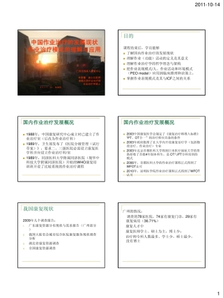 国内OT现状PEO模式临床决策