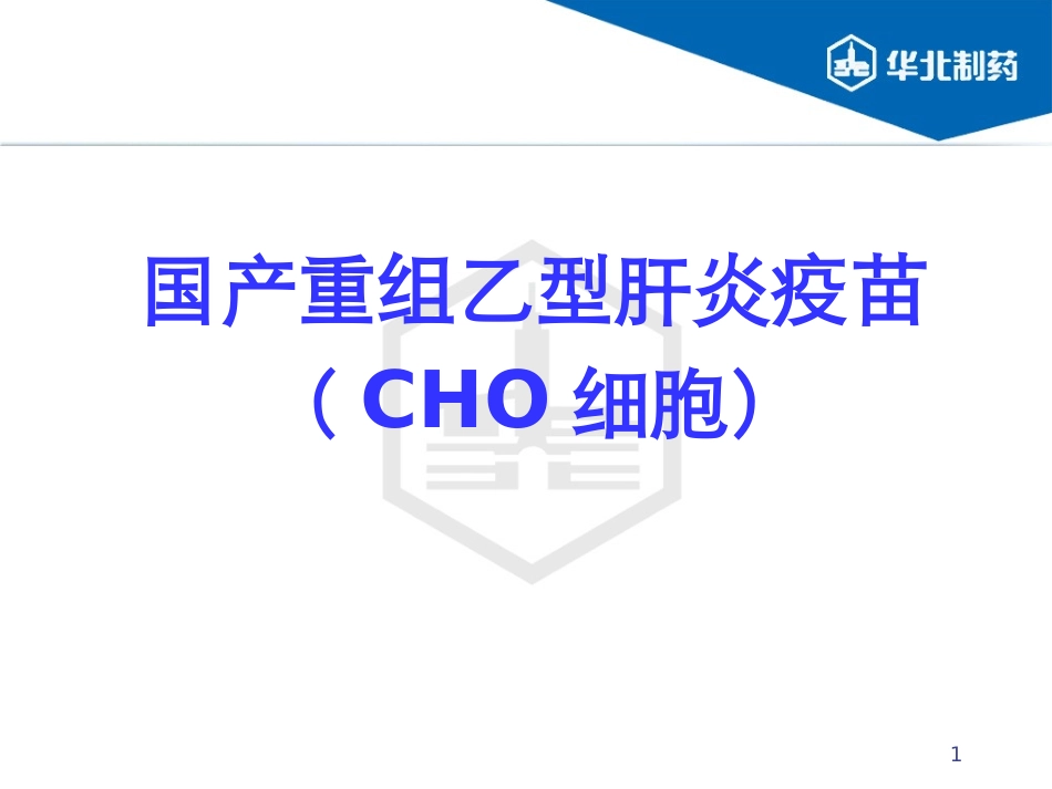 国产重组乙型肝炎疫苗(CHO细胞)_第1页