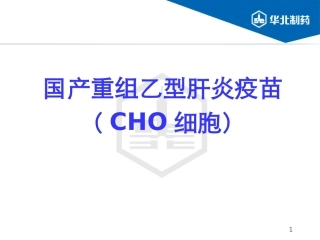 国产重组乙型肝炎疫苗(CHO细胞)