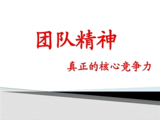 团队精神—真正的核心竞争力