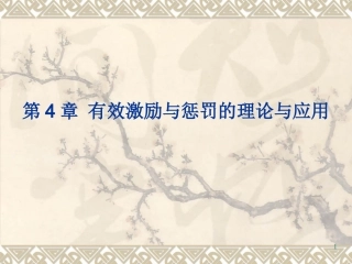 团队激励与沟通第4章