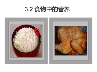 四年级下册科学食物中营养