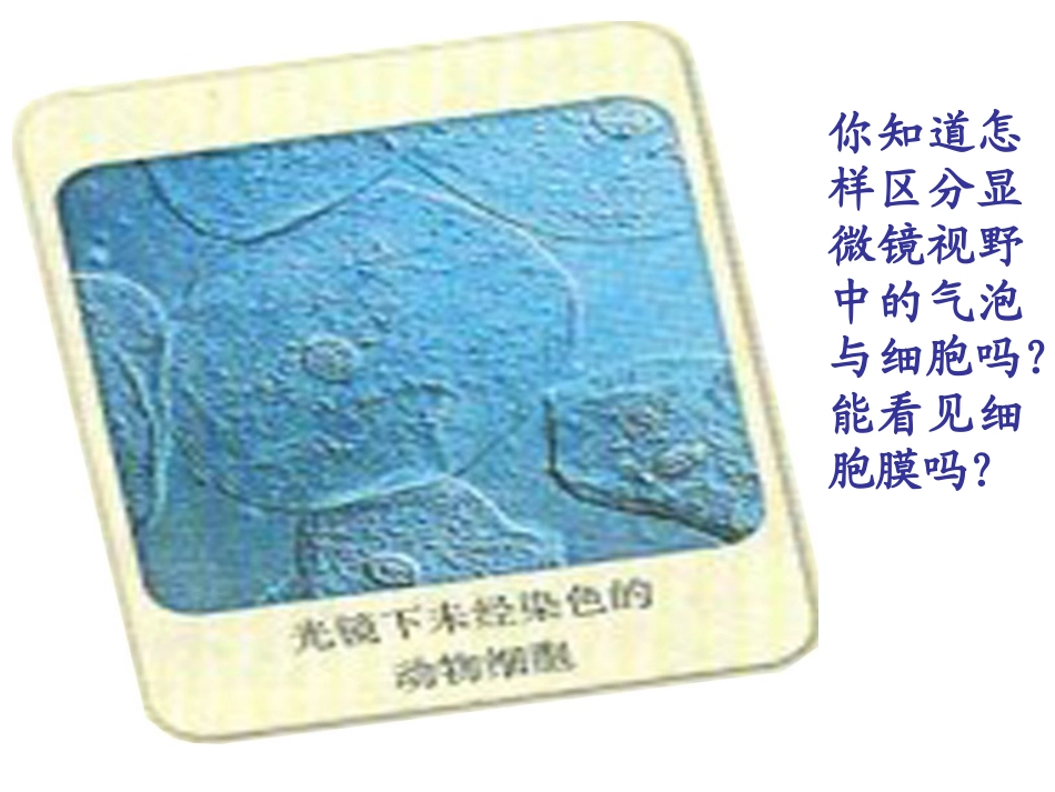 哺乳动物成熟的红细胞吸水涨破思考_第2页