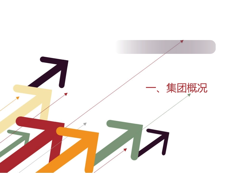 哈药着名品牌-红软基地_第3页