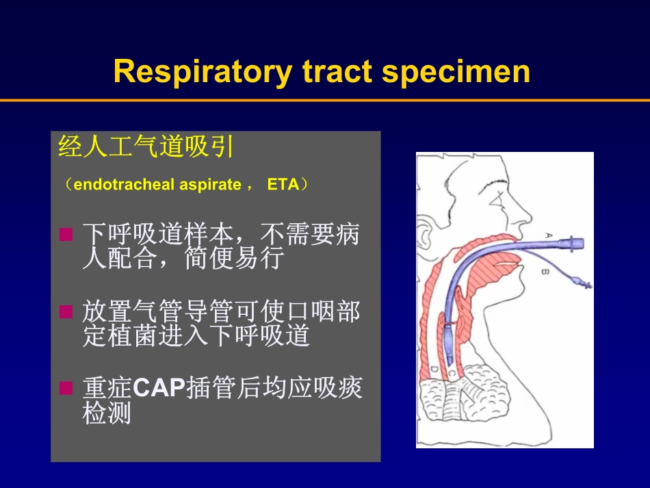 呼吸道分泌物培养结果解读--青年论坛_第3页
